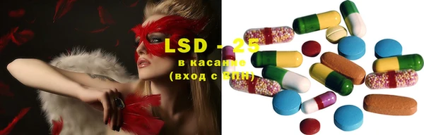 индика Балабаново