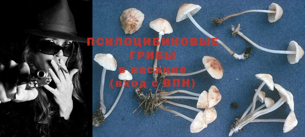 индика Балабаново