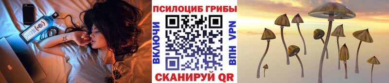 даркнет наркотические препараты  даркнет сайт  Корсаков  Галлюциногенные грибы мухоморы 